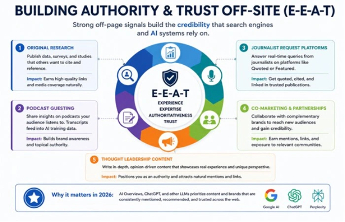 Authority Building SEO